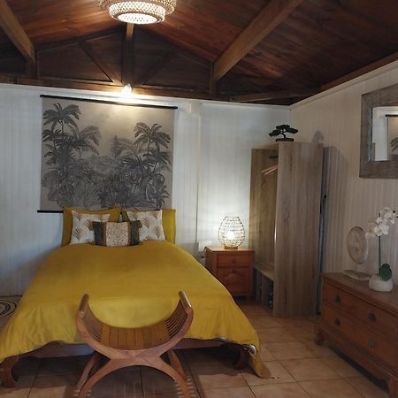 Les Badamiers Villa Saint Pierre Luaran gambar